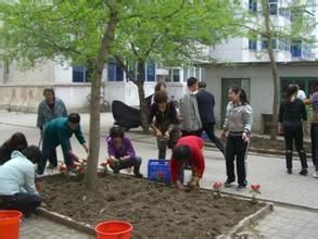 育才街道 育才街道