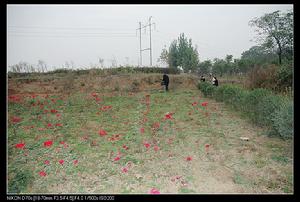馬鞍河遺址 馬鞍河遺址