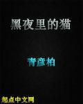 黑夜裡的貓 黑夜裡的貓