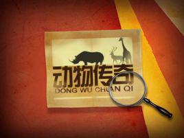 動物傳奇[央視綜藝頻道電視節目]