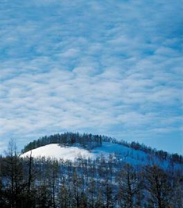 青龍滿族自治縣