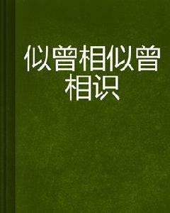 似曾相似曾相識 似曾相似曾相識