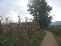 和睦郎自然村 和睦郎自然村