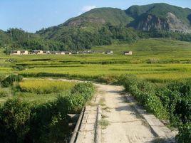 沙帽山自然村 沙帽山自然村