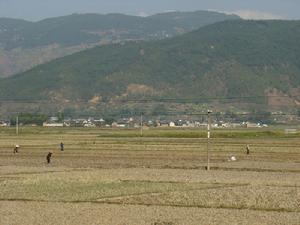 迎將村自然村 迎將村自然村