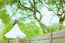 可依可人 可依可人