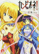 弒神者[丈月城著作的輕小說]