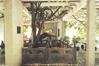 淄博市馬橋鎮 淄博市馬橋鎮