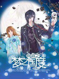 網遊之夢的國度 網遊之夢的國度