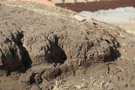 饒州故城址 饒州故城址