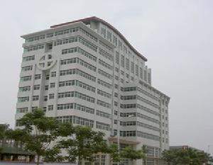 飛龍集團 飛龍集團