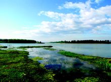 大黃溝鄉風景一覽
