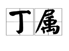 丁屬 丁屬