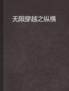 無限穿越之縱橫 無限穿越之縱橫
