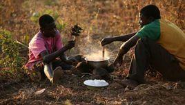 馬拉威人 馬拉威人