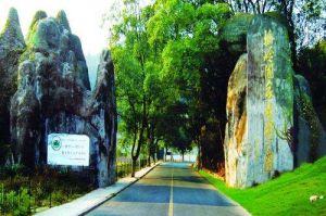 梅嶺國家森林公園