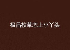 極品校草戀上小丫頭 極品校草戀上小丫頭