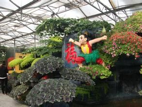 濰坊壽光國際蔬菜科技博覽會 濰坊壽光國際蔬菜科技博覽會