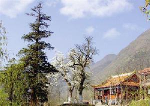 靈峰寺[畢節七星關區靈峰寺]