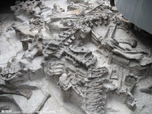 川東恐龍化石集聚地