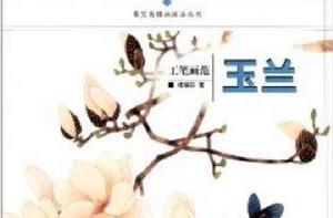 工筆畫范:玉蘭 工筆畫范:玉蘭