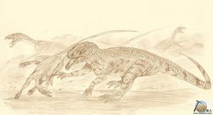 波羅尼鱷 波羅尼鱷