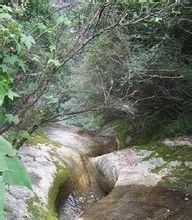 祥峪森林公園風光