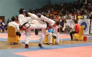 國際跆拳道聯盟