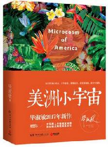 美洲小宇宙 美洲小宇宙