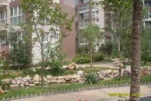 東方今典一至三期 東方今典一至三期