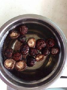 田七母鴨湯 田七母鴨湯