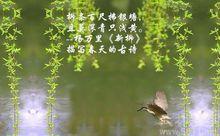 新柳[南宋楊萬里詩作]