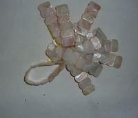 珍珠母貝 珍珠母貝