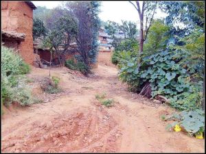 小里大丫口村 小里大丫口村