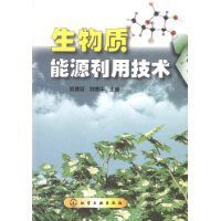 生物質能源利用技術 生物質能源利用技術