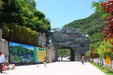 太平萬花山風景區