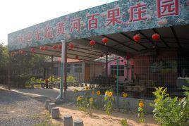 槐樹窪村 槐樹窪村