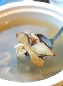 雞樅菌豆腐湯