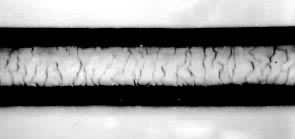 法醫學物證檢驗