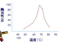 Taq酶在不同溫度下的活性