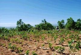 白屯自然村 白屯自然村