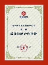 2009濰柴戰略合作夥伴