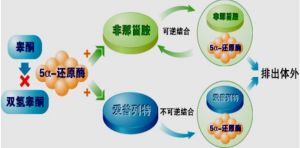 酶抑制劑 酶抑制劑