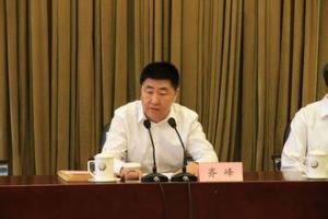 齊峰[黑龍江省人民政府副秘書長]