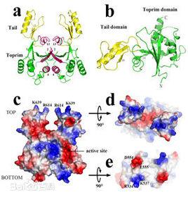 微生物酶除臭治理