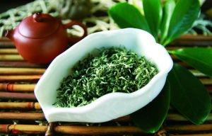 洞庭碧螺春 洞庭碧螺春