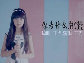 你為什麼說謊[王巧演唱歌曲]