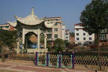 浙江省磐安縣大盤鎮學田村(圖2)