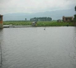 舟東自然村 舟東自然村