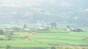 香草坪下村 香草坪下村